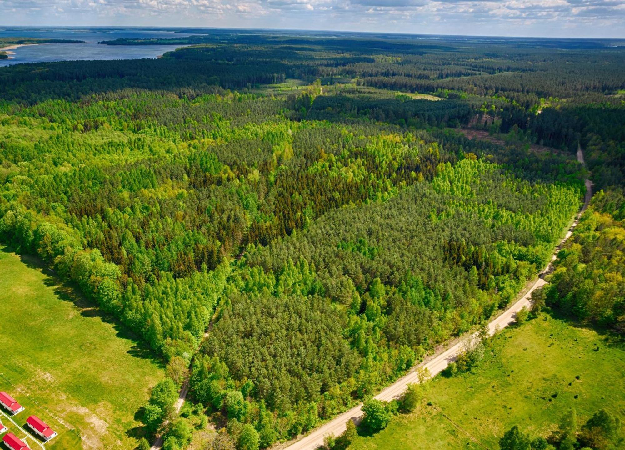 Osada Wilaneska Domki Mikolajki Mazury Buitenkant foto